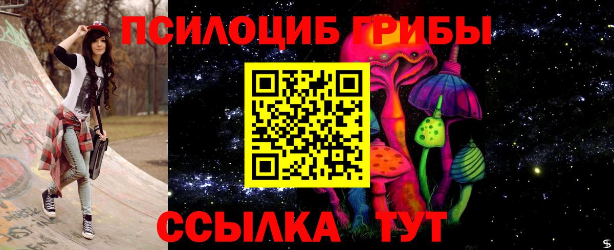 купить наркотики цена  Псилоцибиновые грибы ЛСД  Галлюциногенные грибы Psilocybine cubensis  Вход с VPN  Урюпинск 